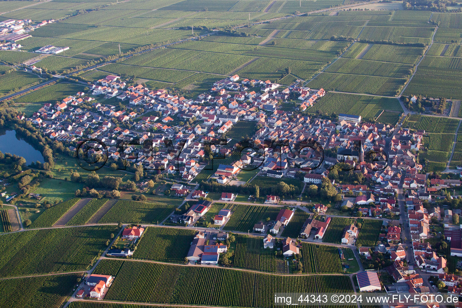 Kirrweiler in the state Rhineland-Palatinate, Germany from a drone