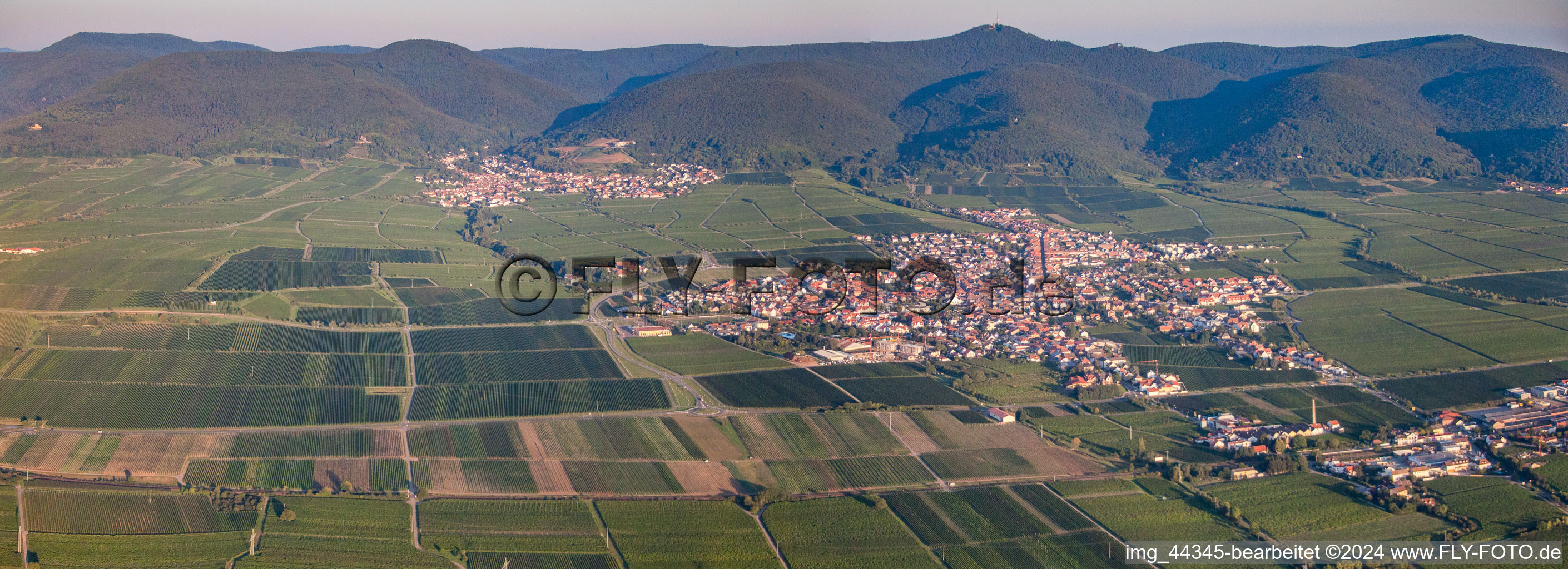 Oblique view of Maikammer in the state Rhineland-Palatinate, Germany