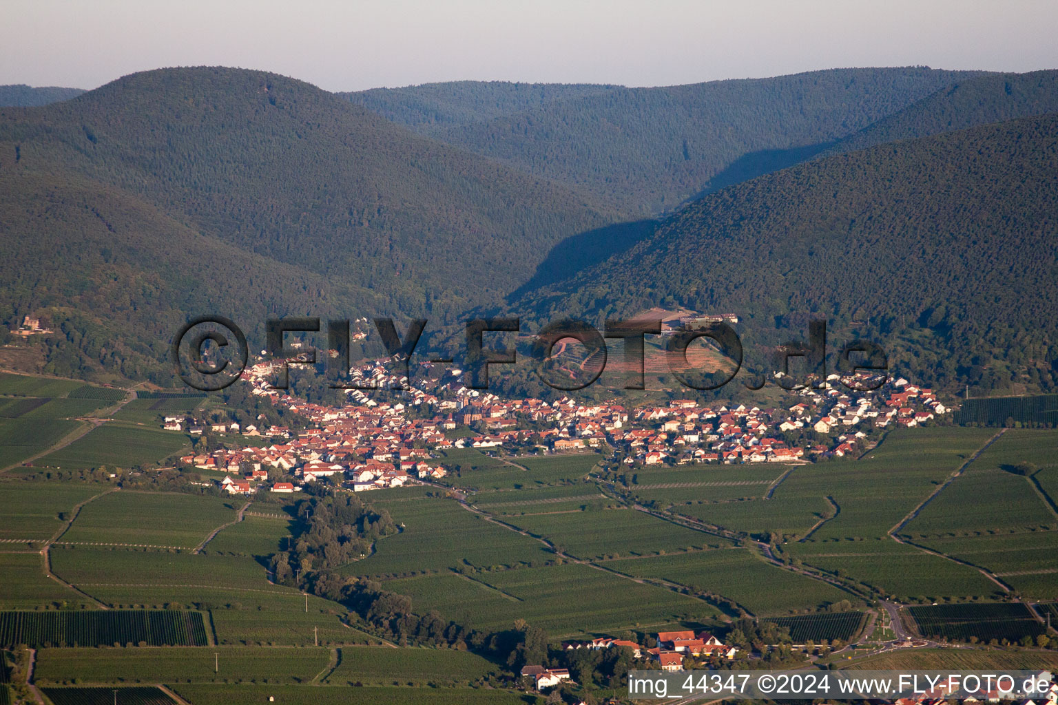 St. Martin in Sankt Martin in the state Rhineland-Palatinate, Germany viewn from the air