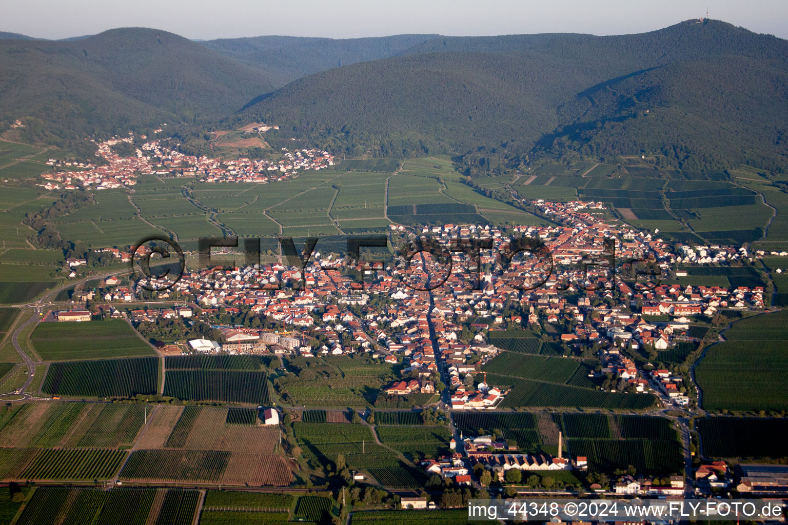 Aerial view of Village - view on the edge of wine yards in Maikammer in the state Rhineland-Palatinate