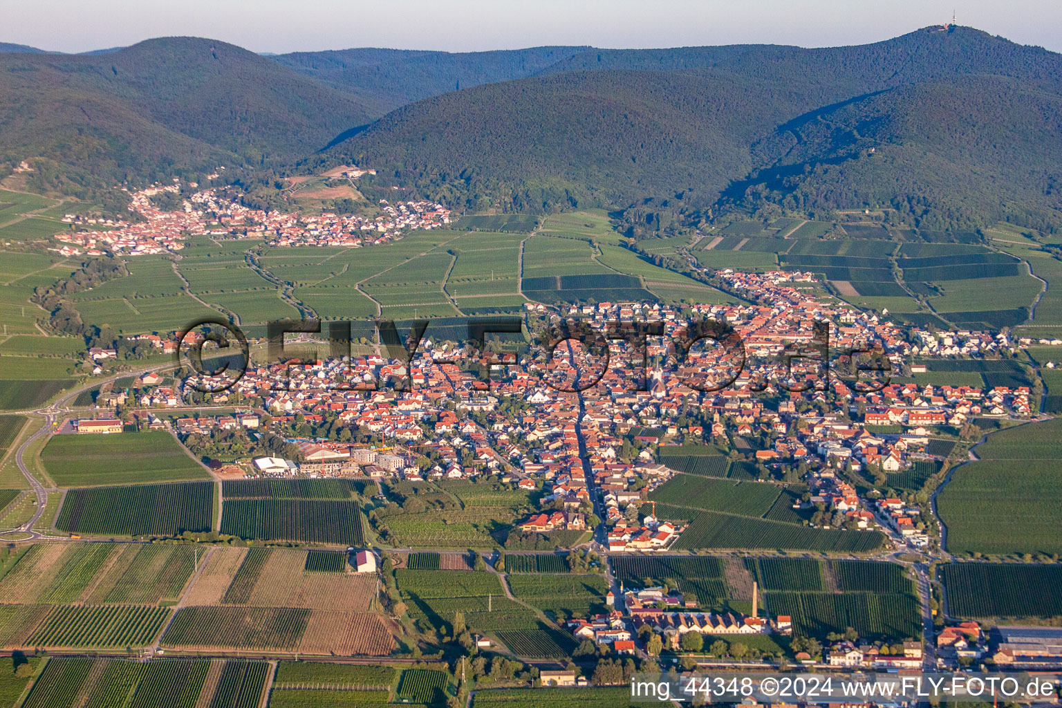 Aerial view of Village - view on the edge of wine yards in Maikammer in the state Rhineland-Palatinate