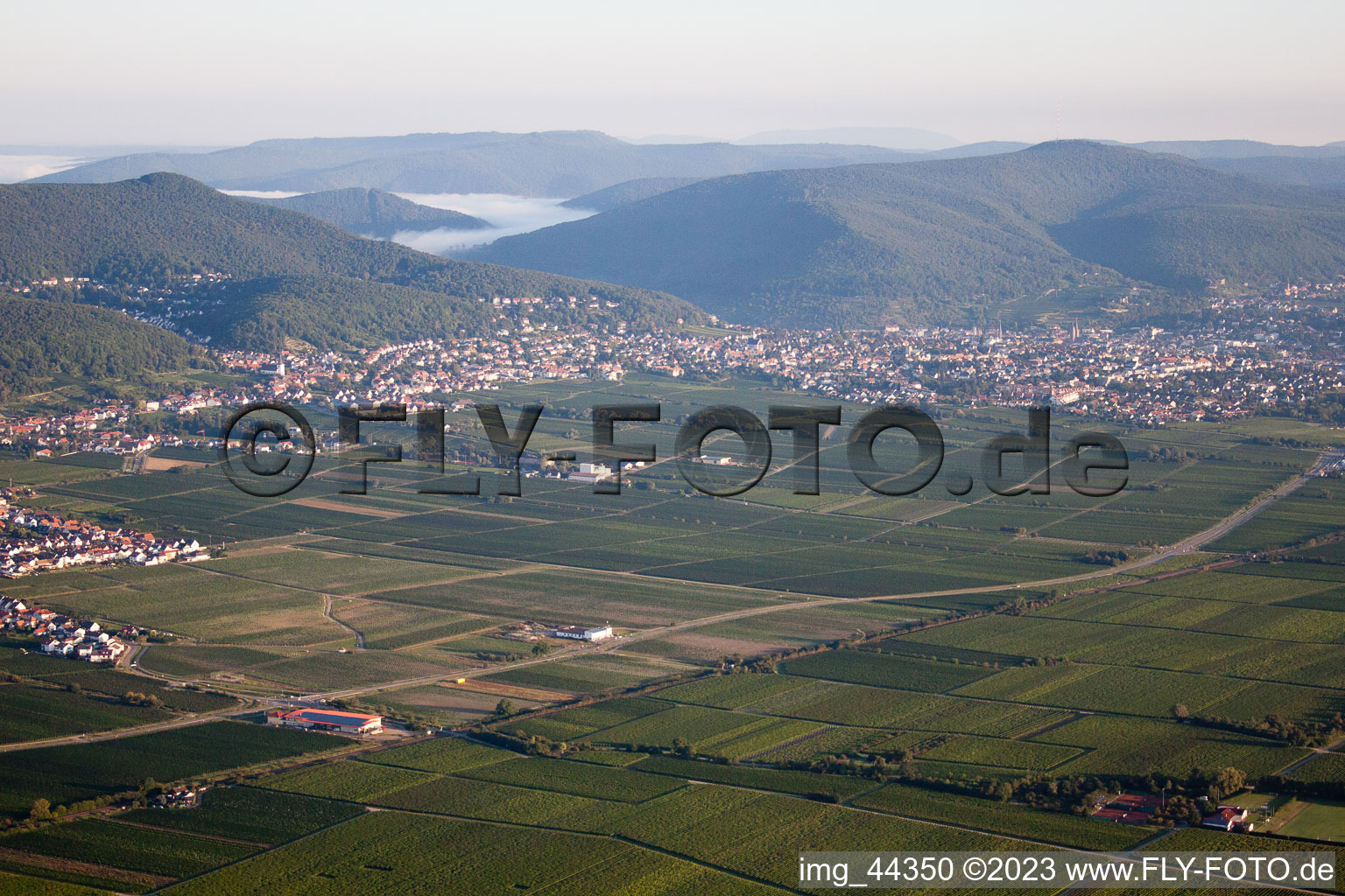 Neustadt an der Weinstraße in the state Rhineland-Palatinate, Germany out of the air