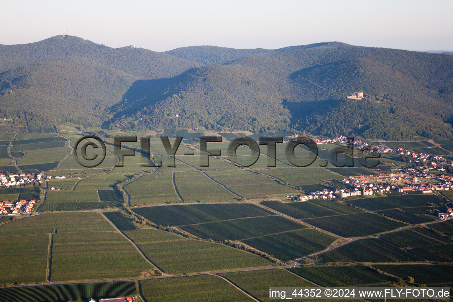 Kirrweiler in the state Rhineland-Palatinate, Germany seen from a drone