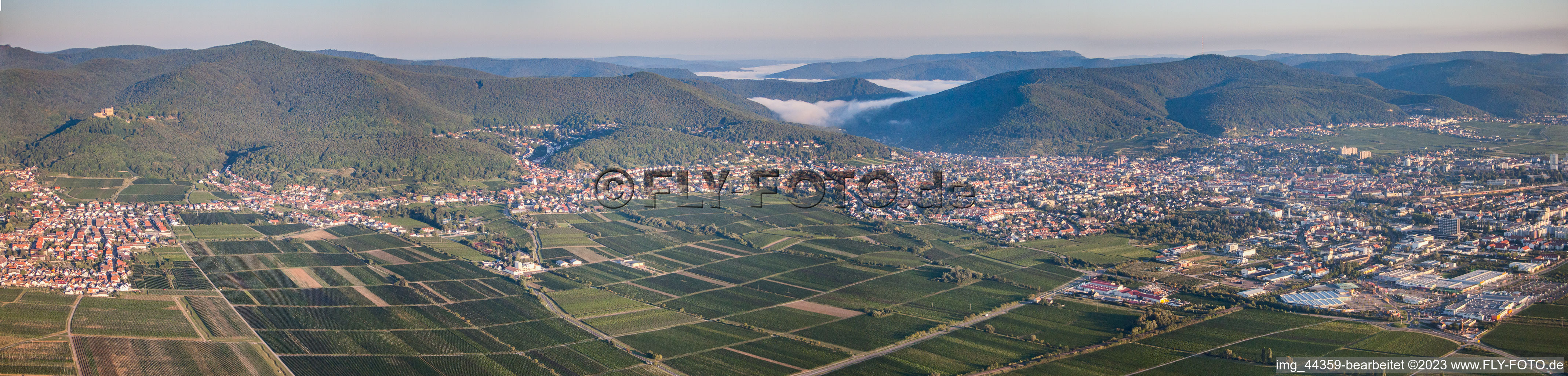 Morning Panorama from the local area and environment in Neustadt an der Weinstrasse in the state Rhineland-Palatinate