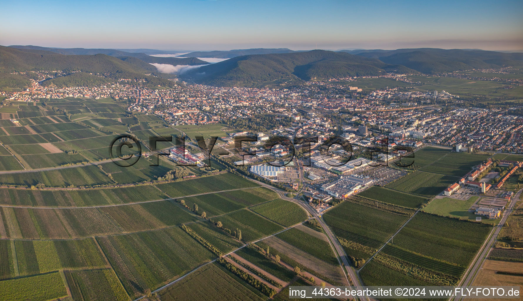 Aerial view of Panorama in Neustadt an der Weinstraße in the state Rhineland-Palatinate, Germany