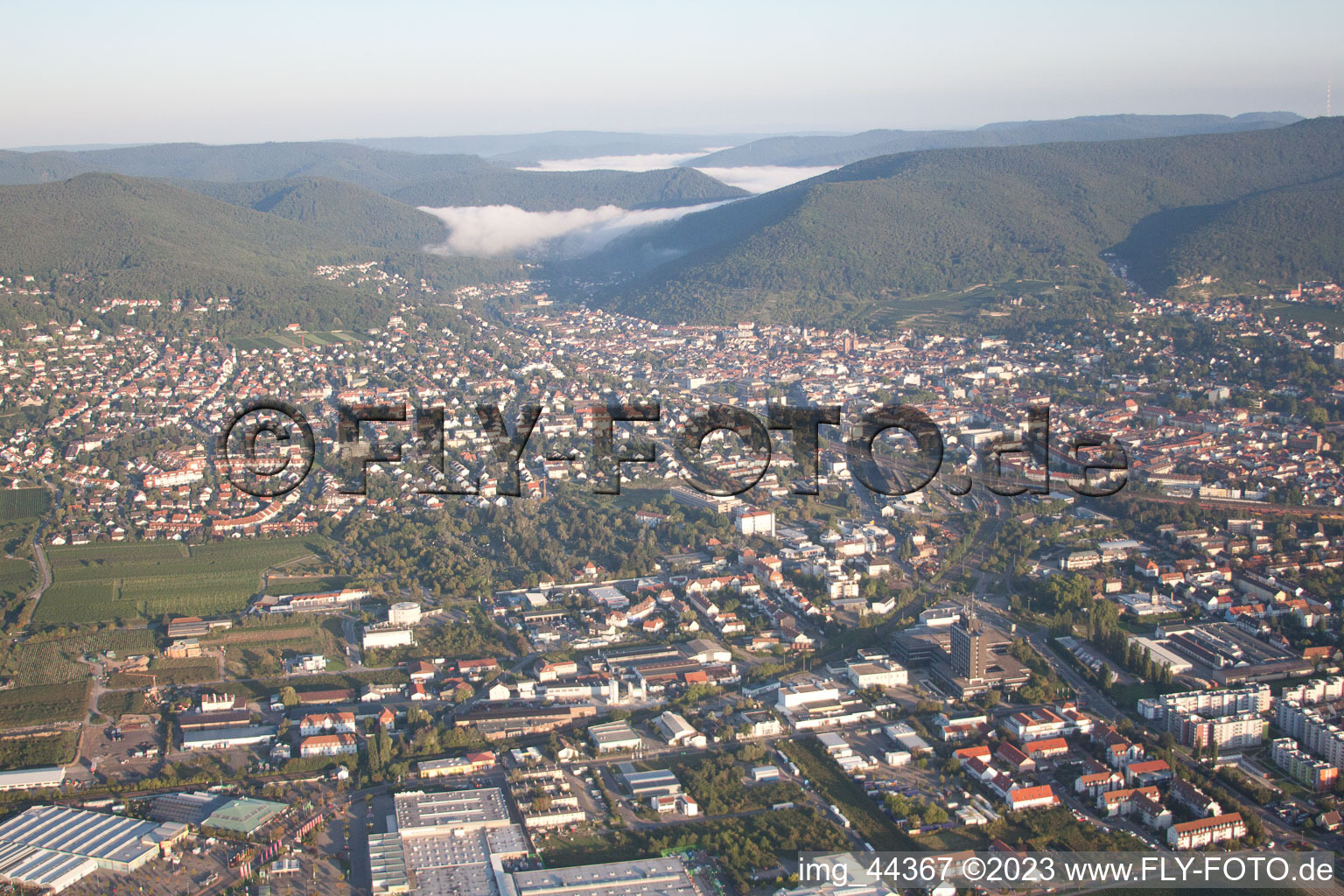 Neustadt an der Weinstraße in the state Rhineland-Palatinate, Germany seen from above