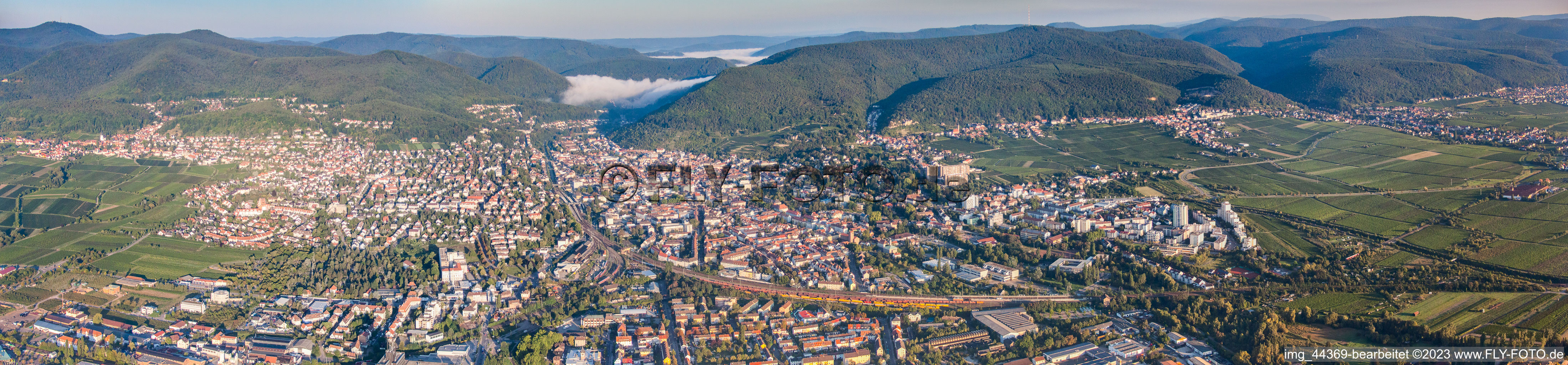 Aerial photograpy of Panorama in Neustadt an der Weinstraße in the state Rhineland-Palatinate, Germany