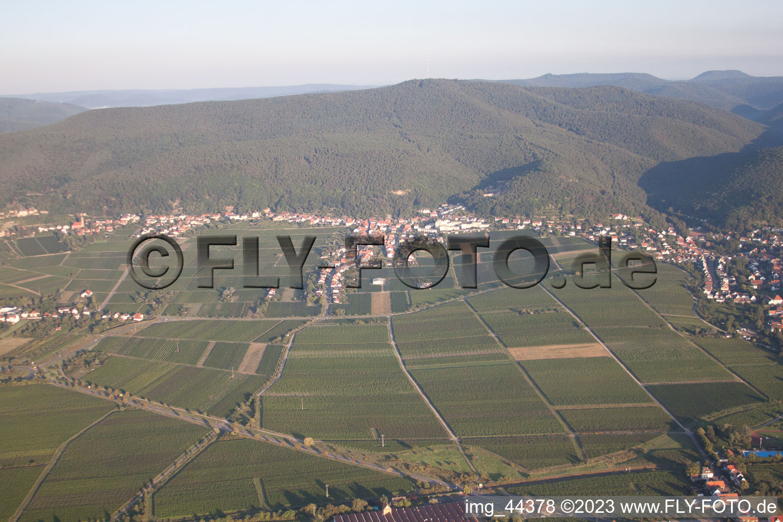 District Haardt in Neustadt an der Weinstraße in the state Rhineland-Palatinate, Germany out of the air