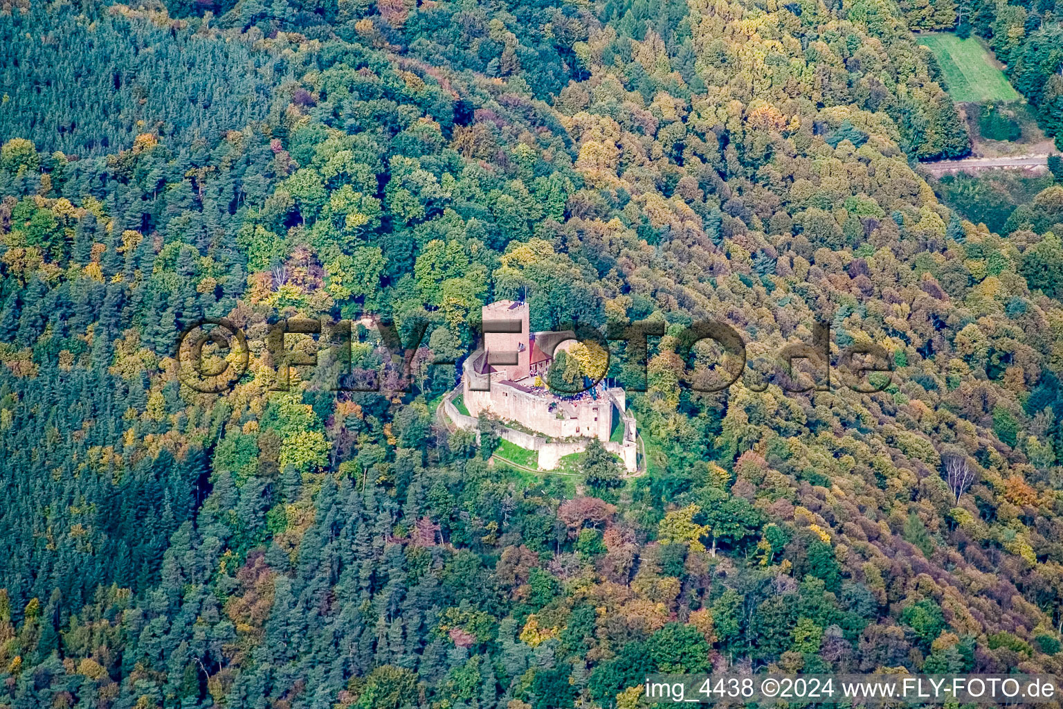 Landeck Ruins in Klingenmünster in the state Rhineland-Palatinate, Germany from above