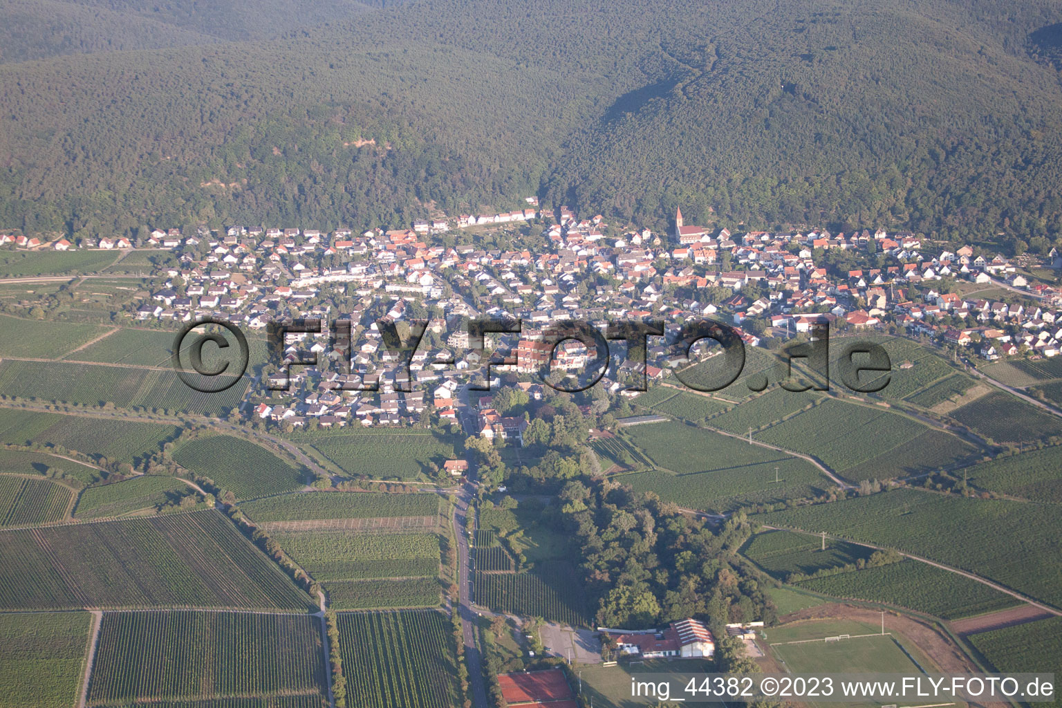 District Königsbach in Neustadt an der Weinstraße in the state Rhineland-Palatinate, Germany out of the air