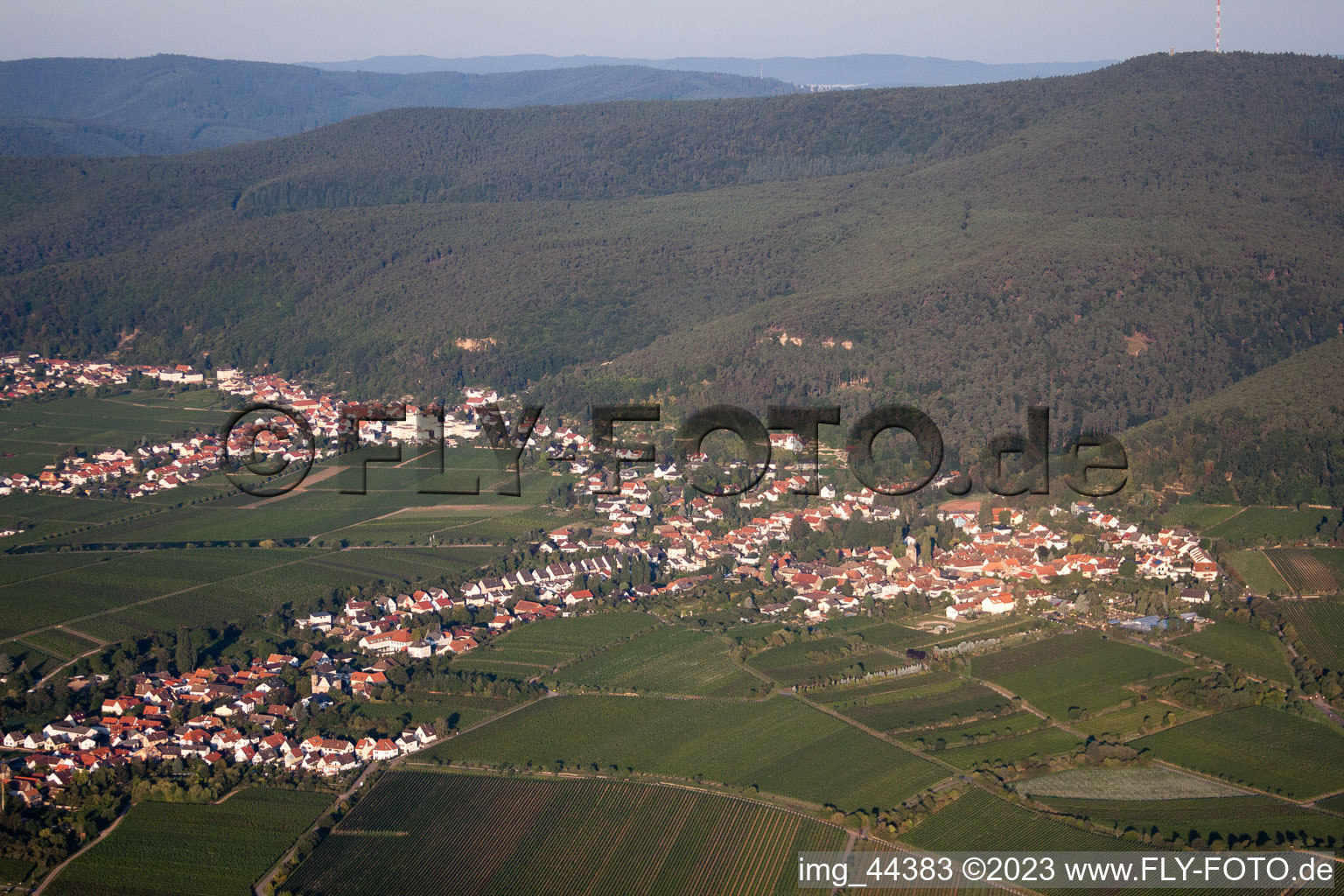 District Gimmeldingen in Neustadt an der Weinstraße in the state Rhineland-Palatinate, Germany from above