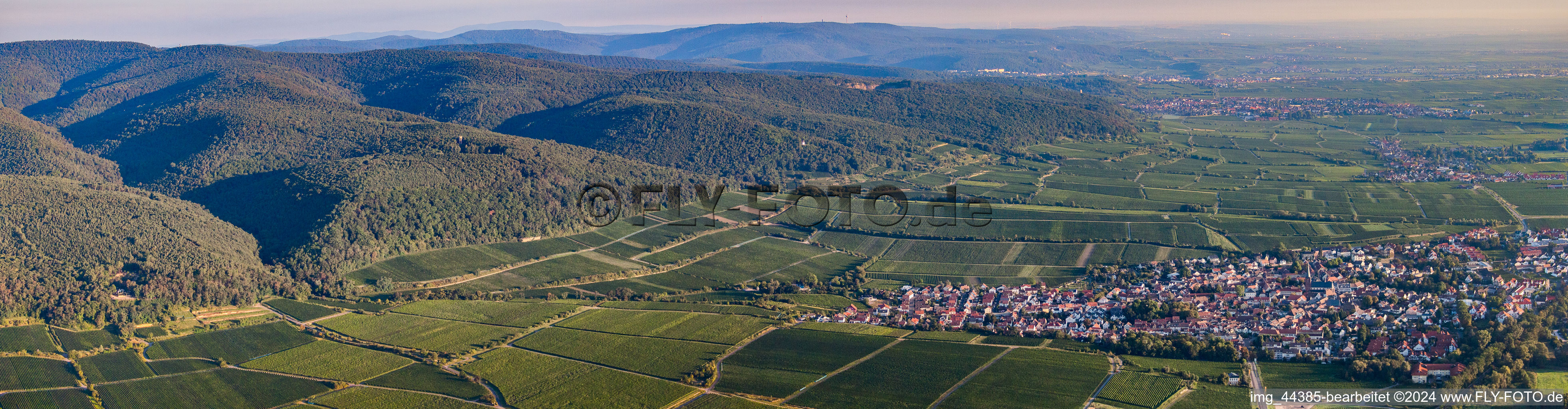 Panorama from the local area and environment in Deidesheim in the state Rhineland-Palatinate