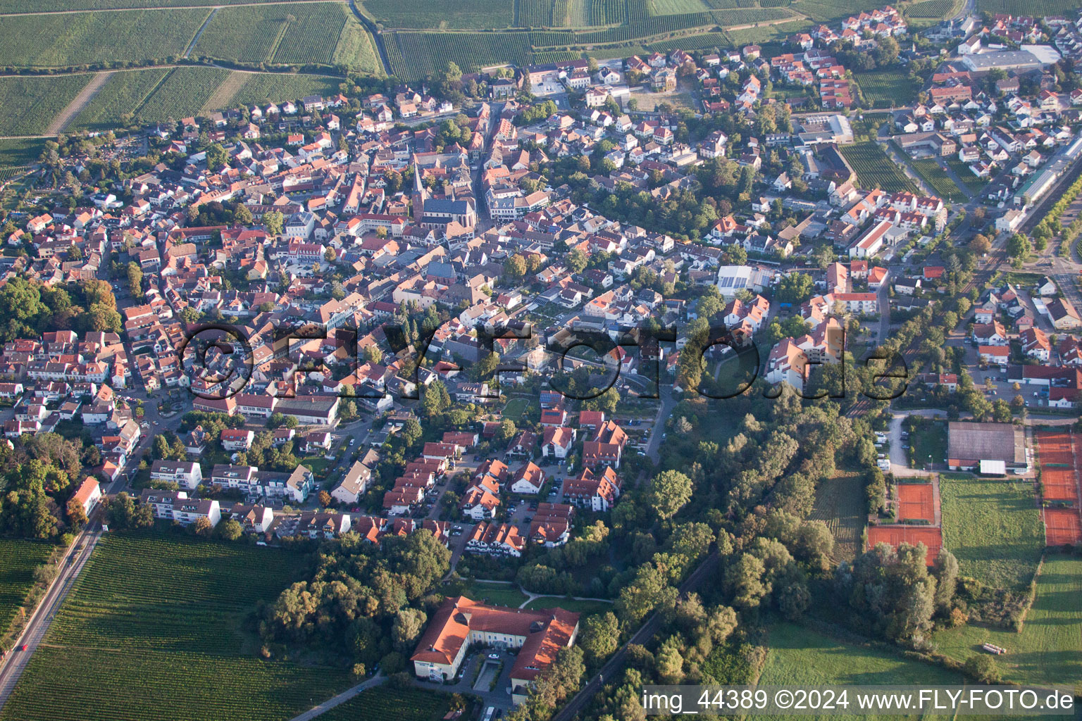 Drone recording of Deidesheim in the state Rhineland-Palatinate, Germany