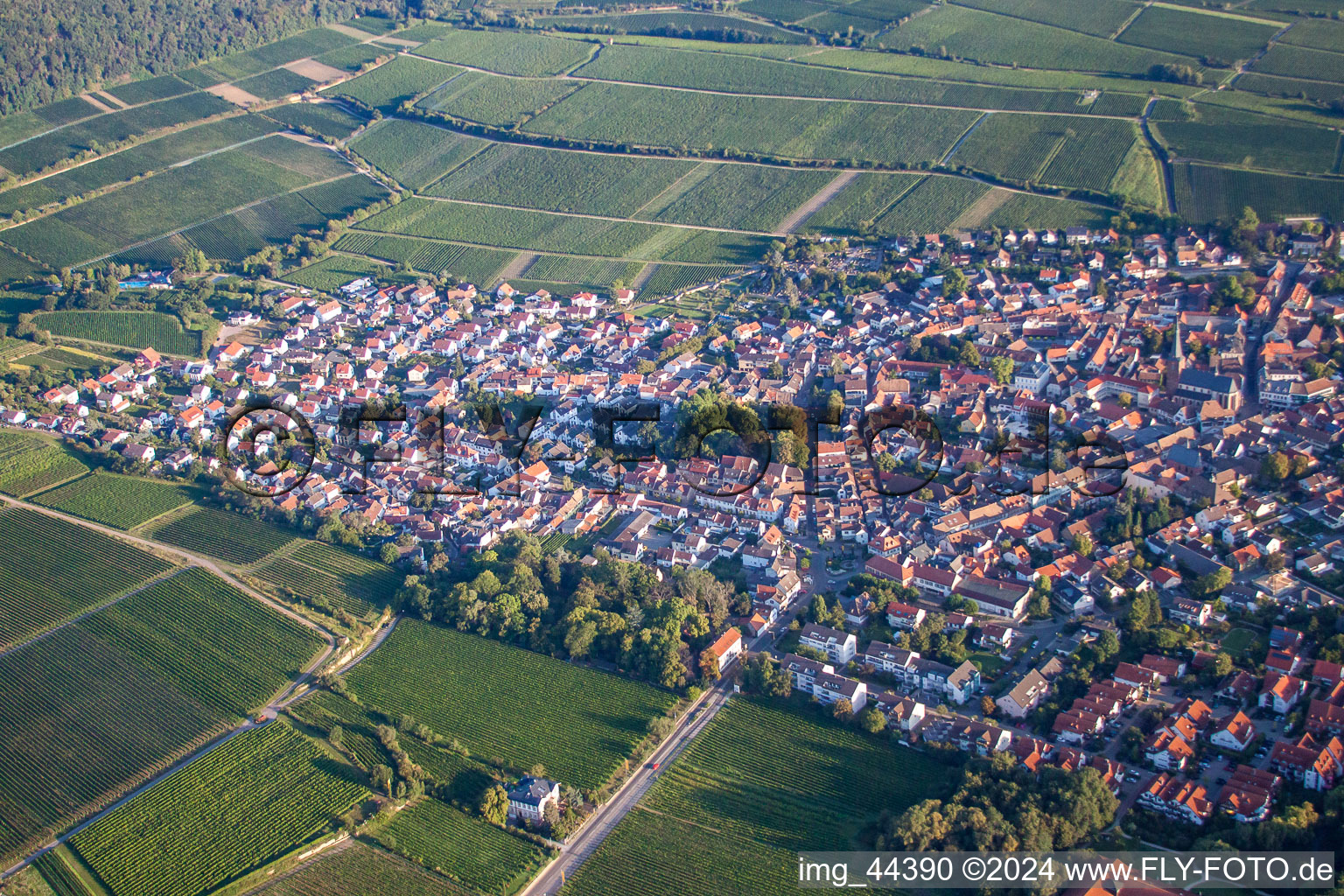 Drone image of Deidesheim in the state Rhineland-Palatinate, Germany