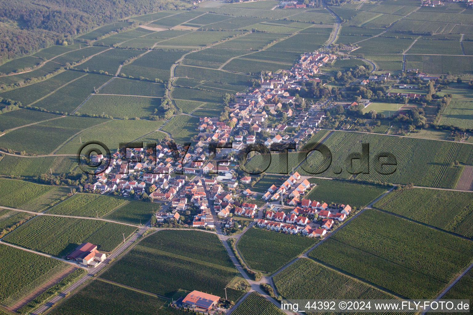 Bird's eye view of Forst an der Weinstraße in the state Rhineland-Palatinate, Germany