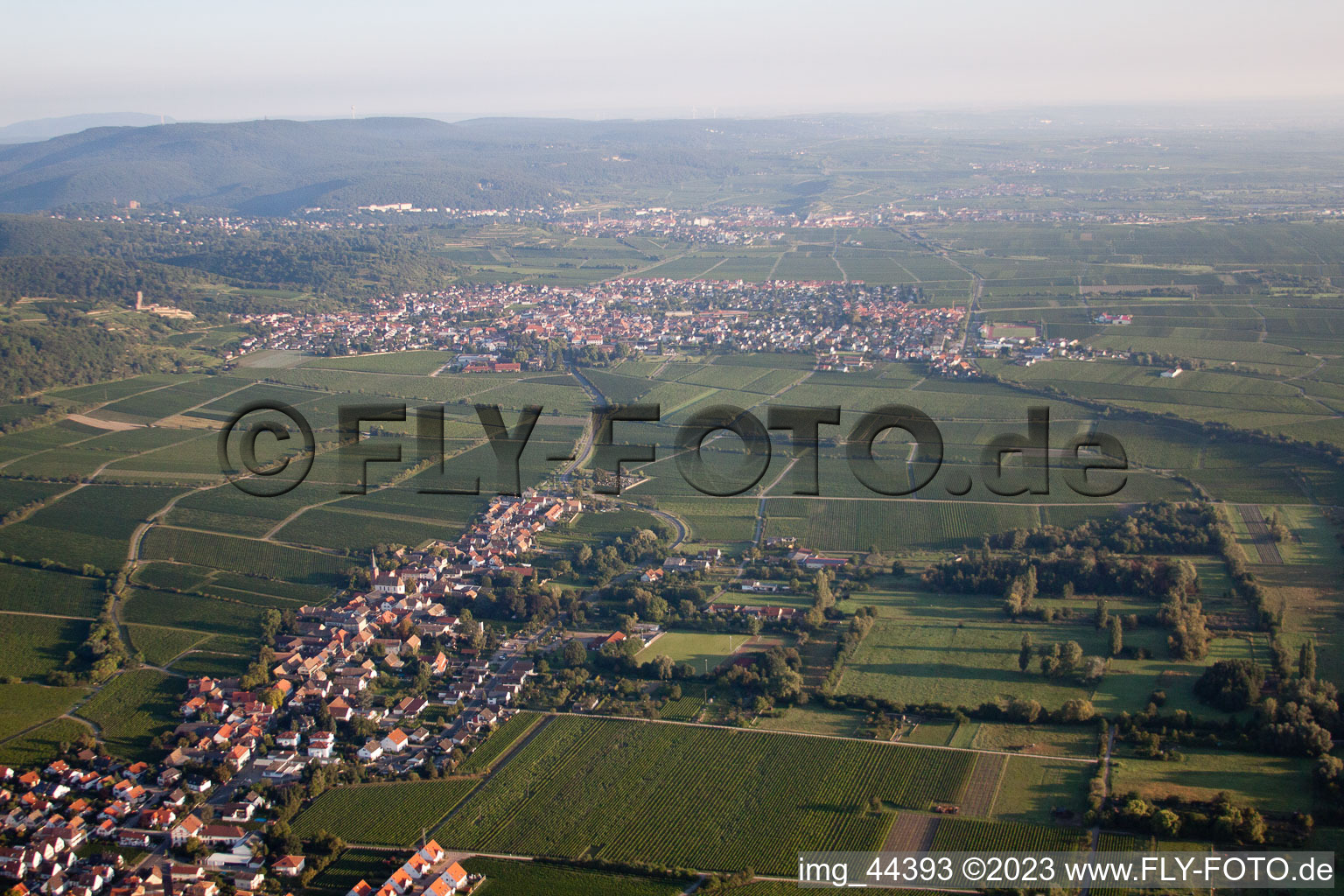 Forst an der Weinstraße in the state Rhineland-Palatinate, Germany from a drone