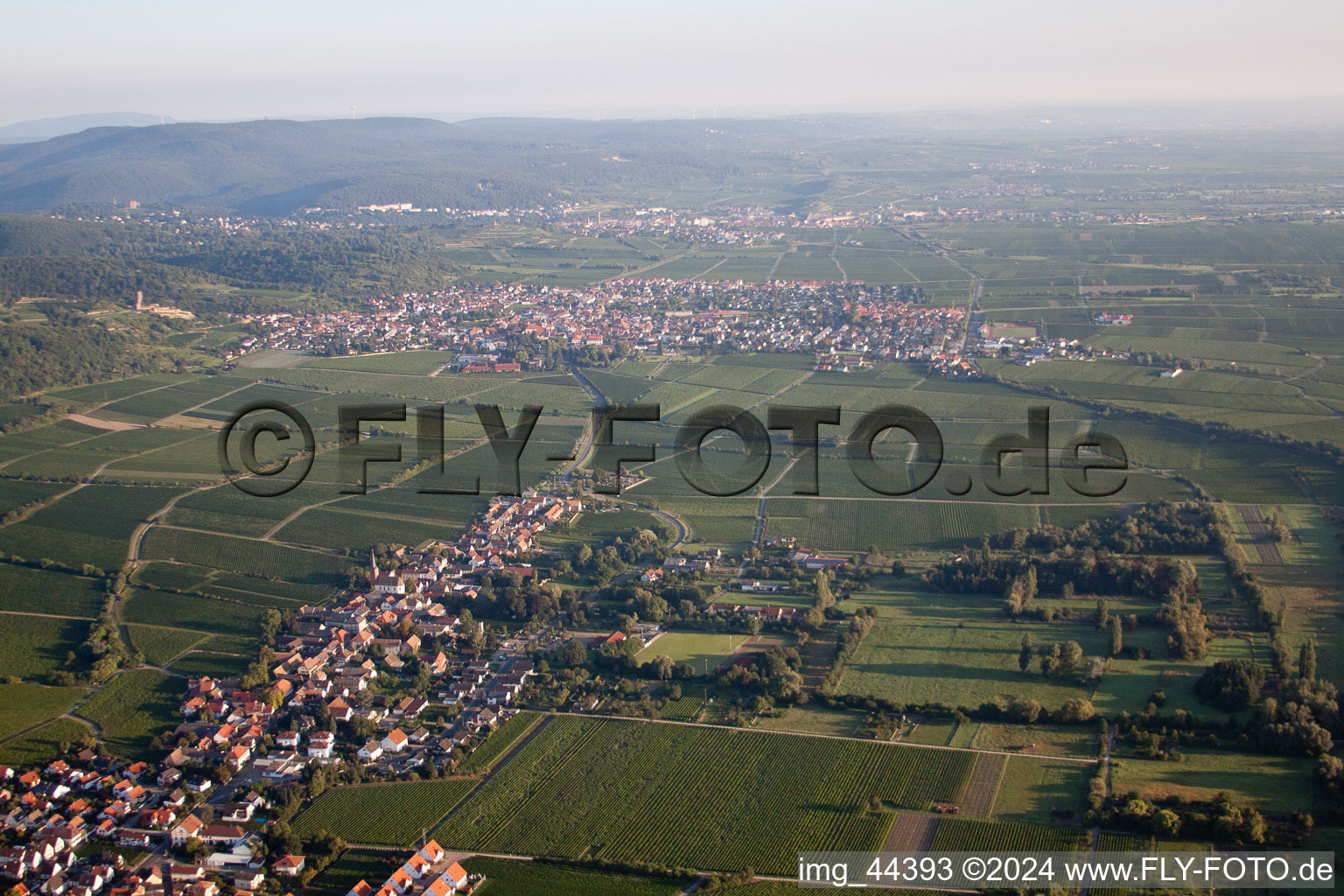 Forst an der Weinstraße in the state Rhineland-Palatinate, Germany viewn from the air