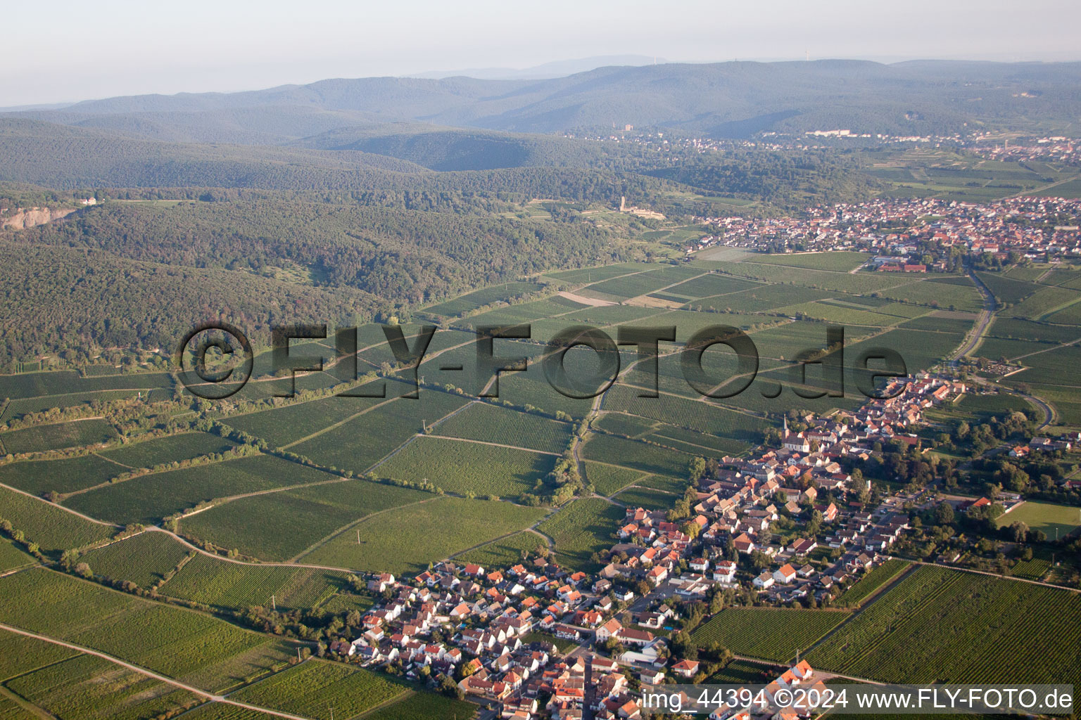 Drone recording of Forst an der Weinstraße in the state Rhineland-Palatinate, Germany