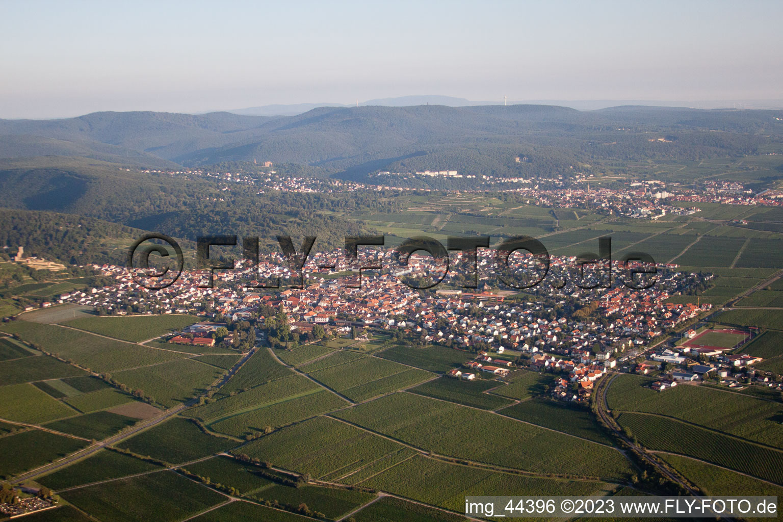 Drone recording of Wachenheim an der Weinstraße in the state Rhineland-Palatinate, Germany