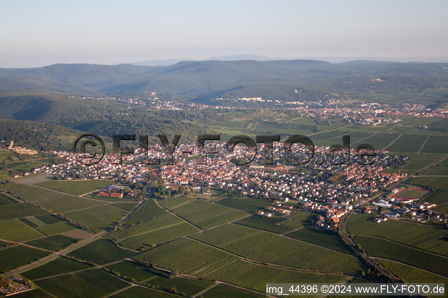 Wachenheim an der Weinstraße in the state Rhineland-Palatinate, Germany seen from above