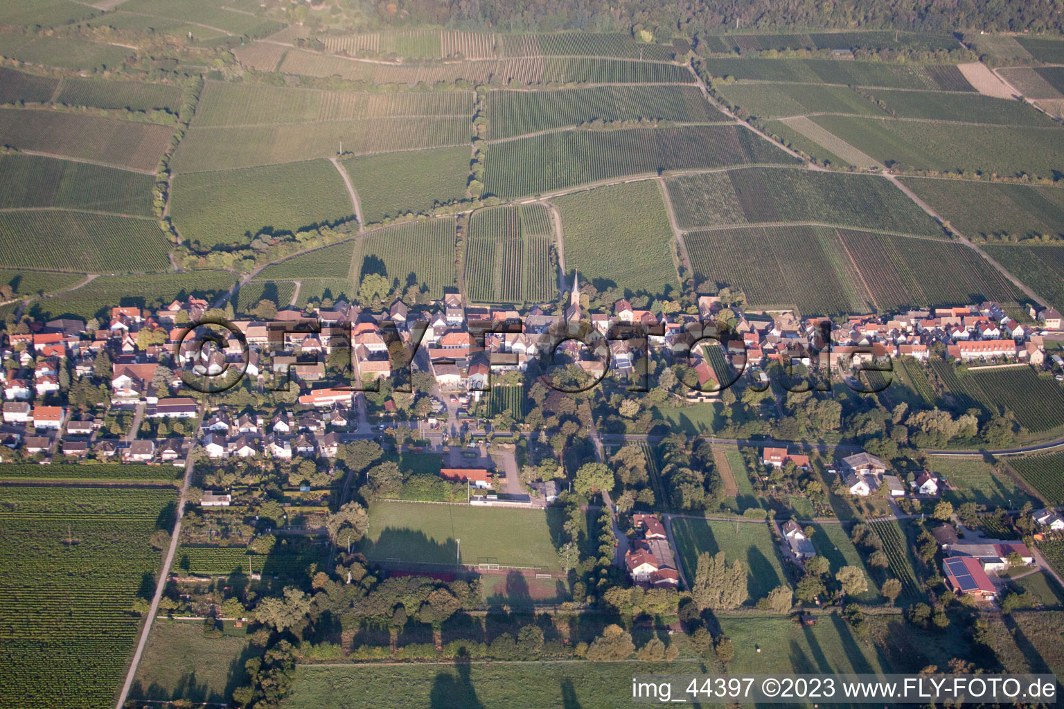 Aerial view of Forst an der Weinstraße in the state Rhineland-Palatinate, Germany