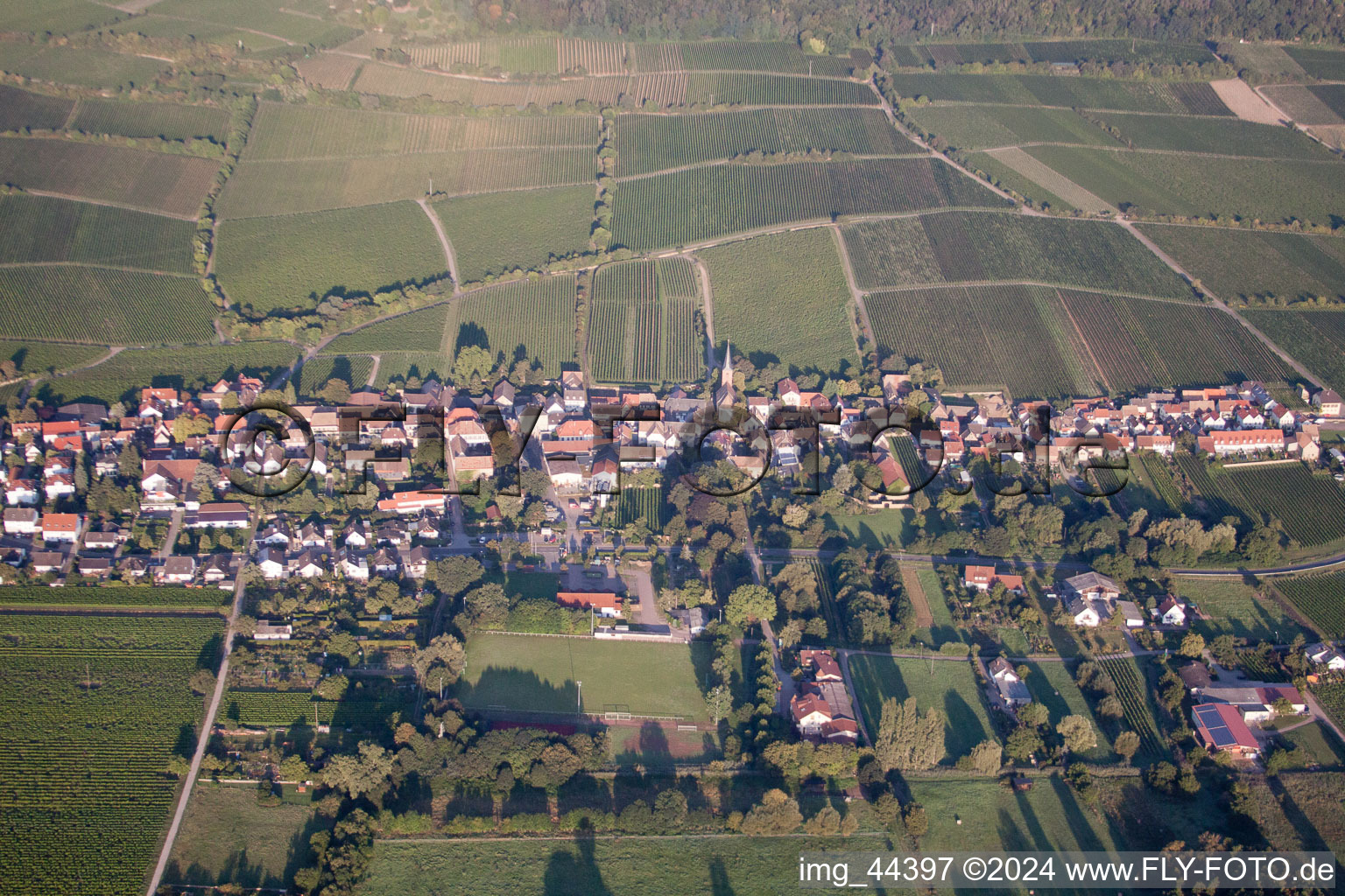 Drone image of Forst an der Weinstraße in the state Rhineland-Palatinate, Germany