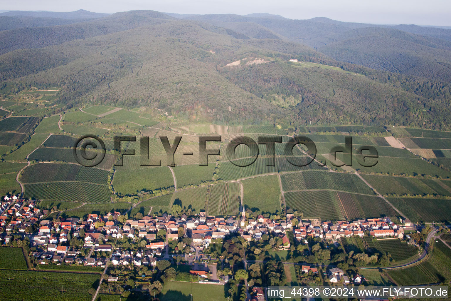 Forst an der Weinstraße in the state Rhineland-Palatinate, Germany from the drone perspective