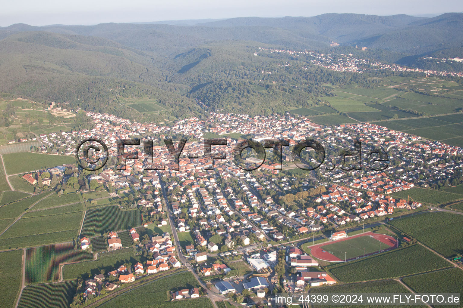 Aerial photograpy of Wachenheim in Wachenheim an der Weinstraße in the state Rhineland-Palatinate, Germany