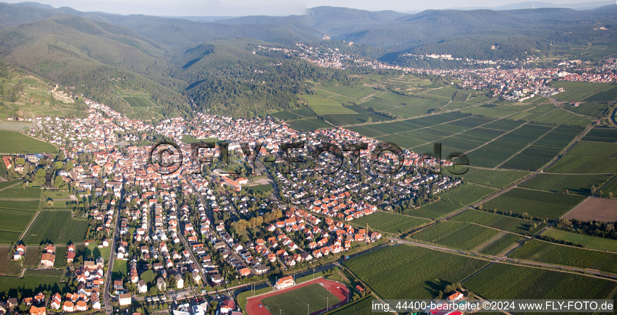 Oblique view of Wachenheim in Wachenheim an der Weinstraße in the state Rhineland-Palatinate, Germany