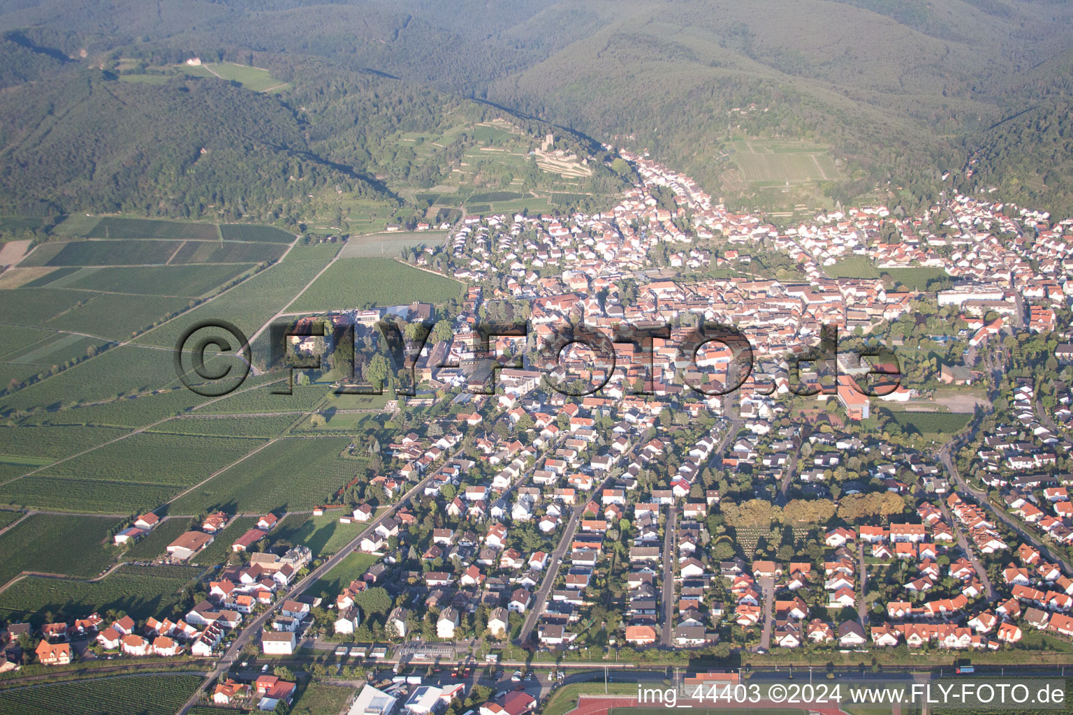 Wachenheim in Wachenheim an der Weinstraße in the state Rhineland-Palatinate, Germany from above