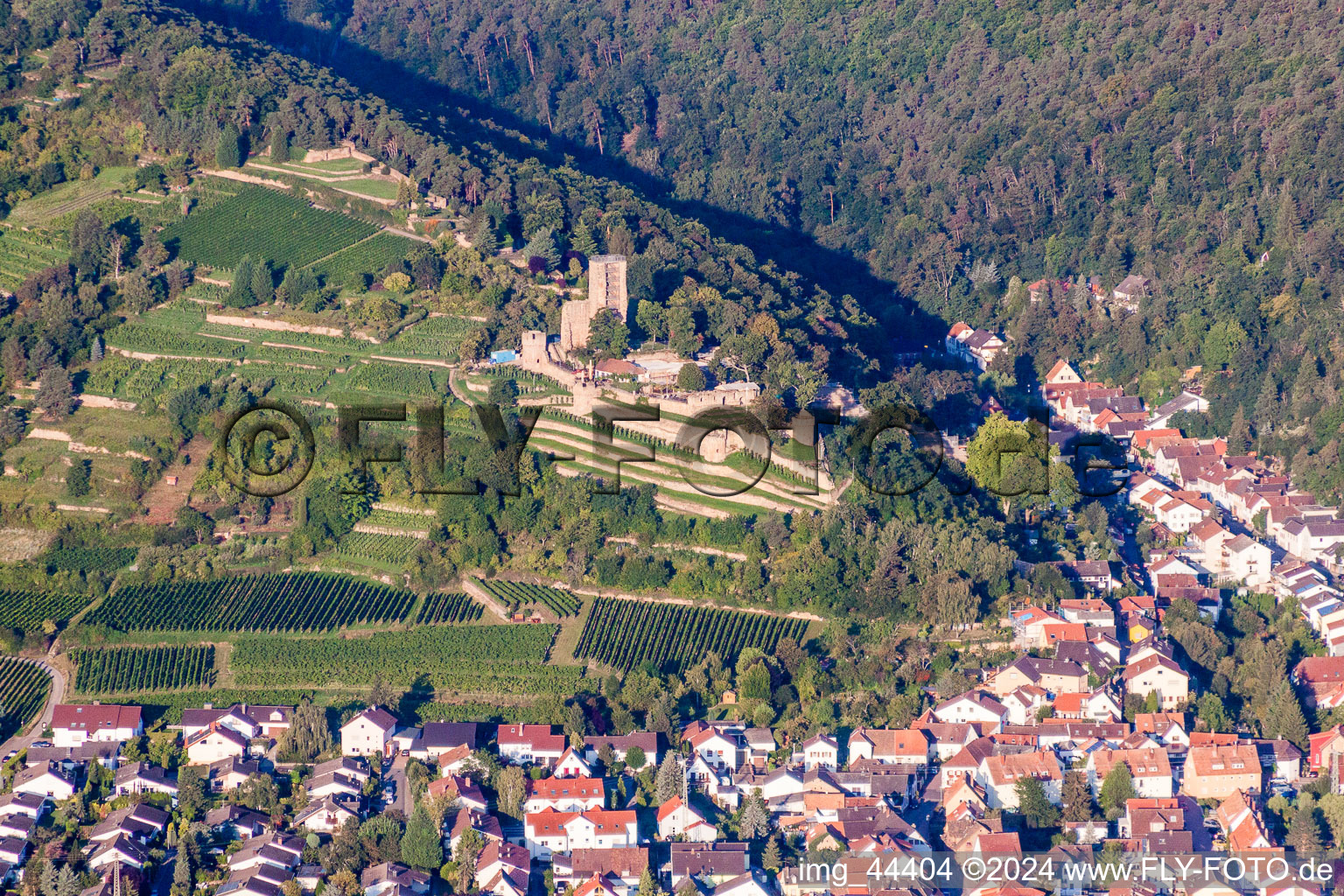 Aerial view of Ruins and vestiges of the former castle and fortress Wachtenburg (Ruin "Burg Wachenheim") in Wachenheim an der Weinstrasse in the state Rhineland-Palatinate, Germany