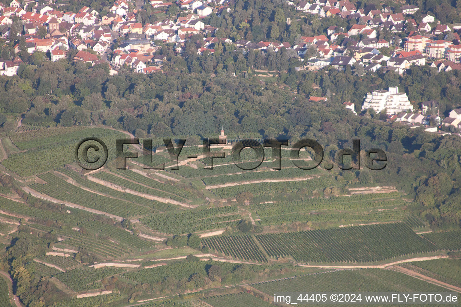 Wachenheim in Wachenheim an der Weinstraße in the state Rhineland-Palatinate, Germany out of the air