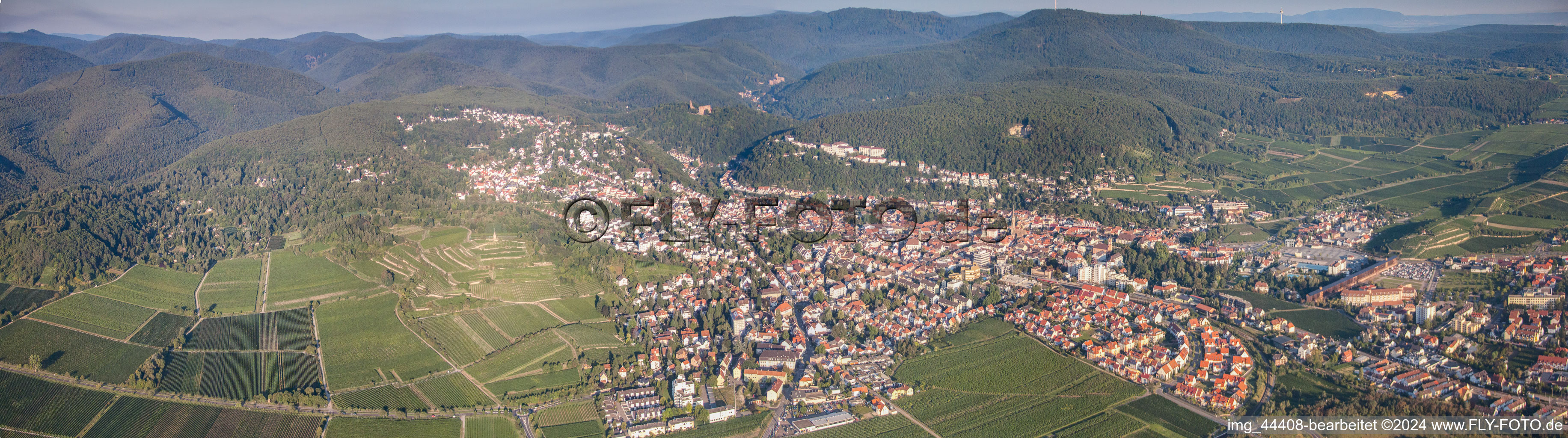 Panorama from the local area and environment in Bad Duerkheim am Rand der Haardt in the state Rhineland-Palatinate