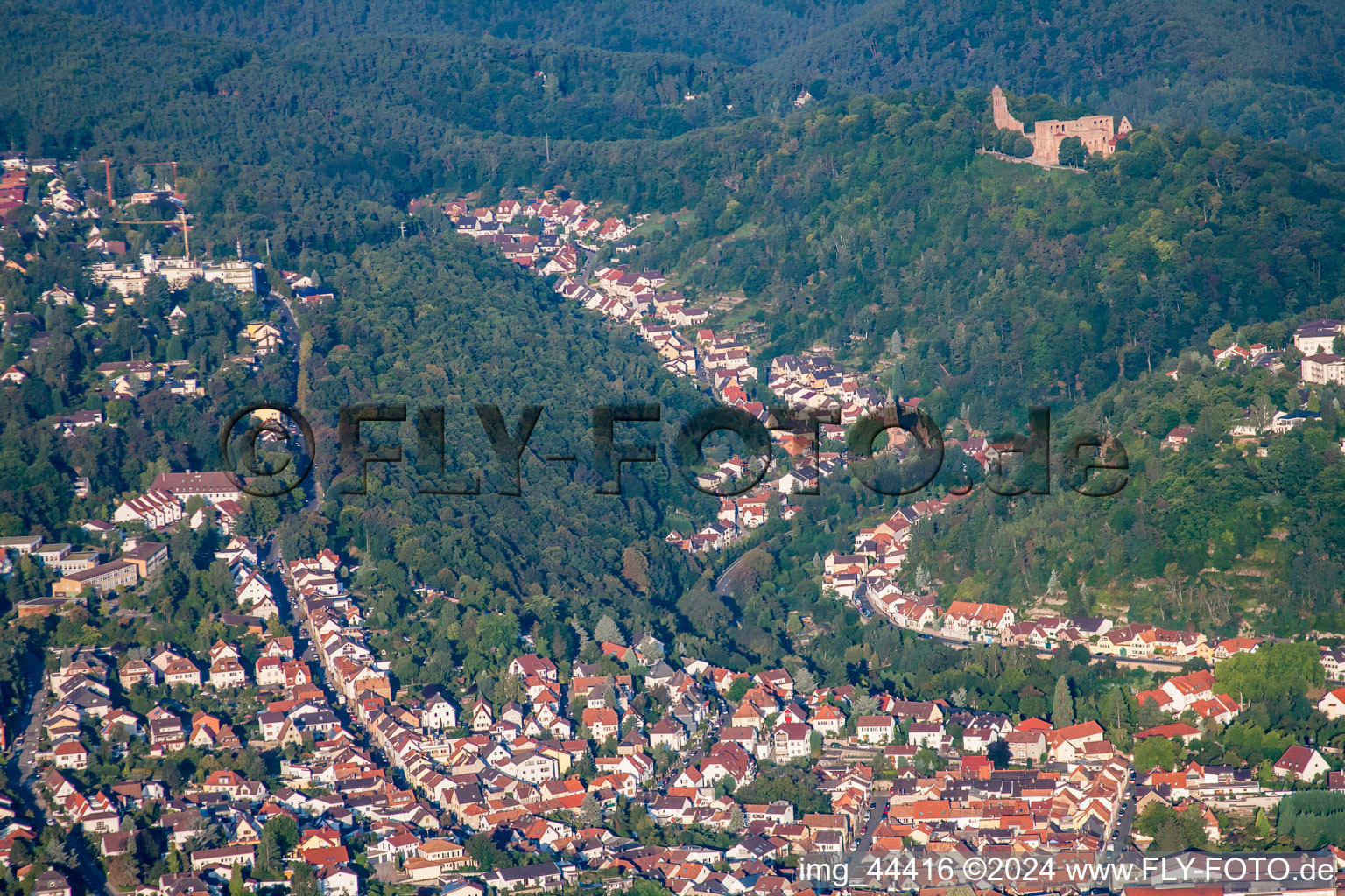 At Limburgberg in the district Grethen in Bad Dürkheim in the state Rhineland-Palatinate, Germany