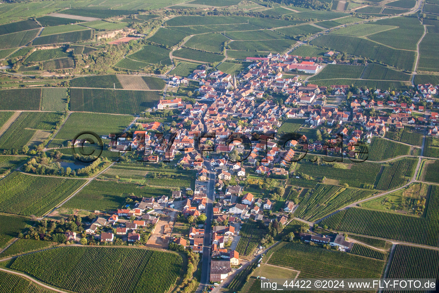 Village - view on the edge of agricultural fields and farmland in Kallstadt in the state Rhineland-Palatinate, Germany