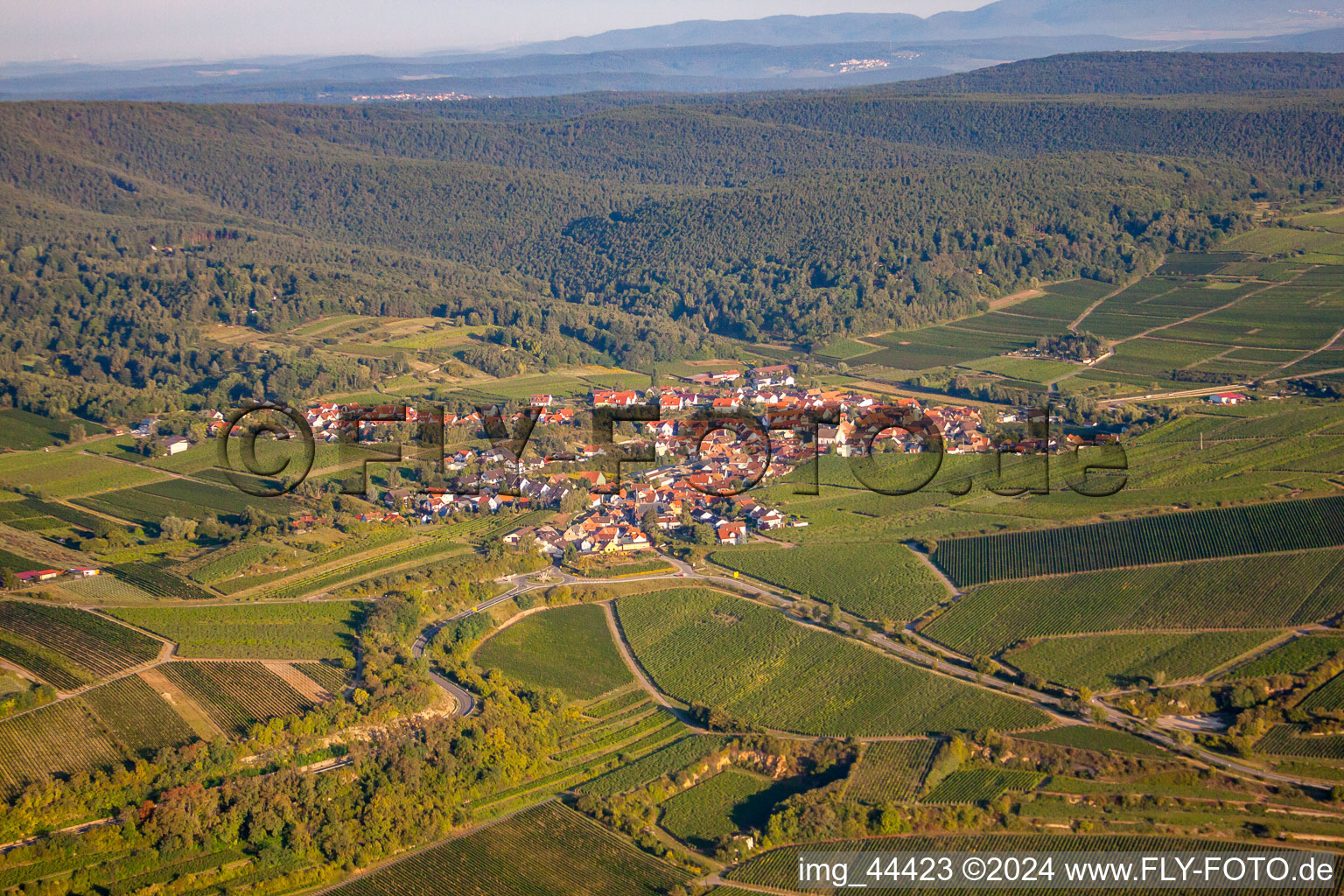 From the west in the district Leistadt in Bad Dürkheim in the state Rhineland-Palatinate, Germany