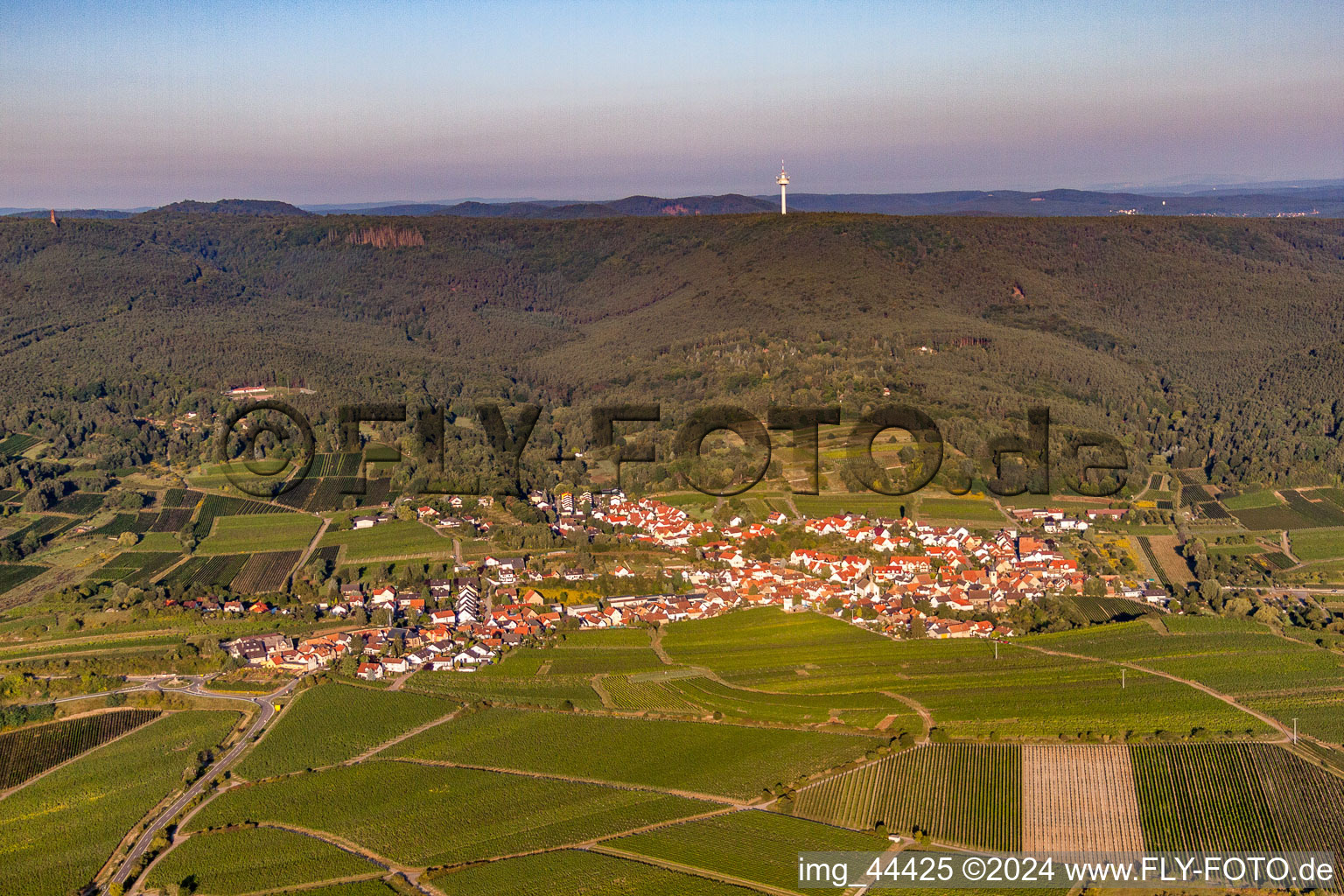 Village view in the district Leistadt in Bad Dürkheim in the state Rhineland-Palatinate, Germany