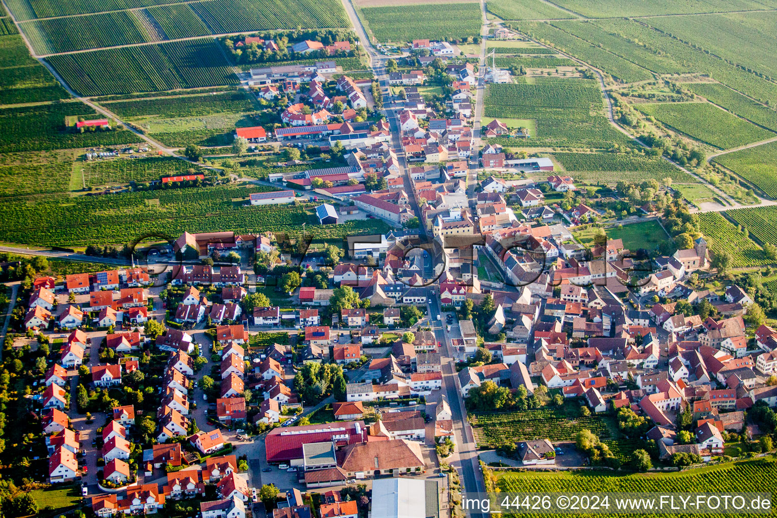 Village - view on the edge of wine yards in Herxheim am Berg in the state Rhineland-Palatinate, Germany