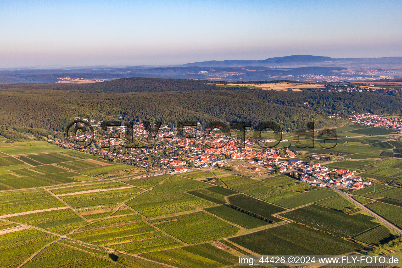 Aerial view of Village - view on the edge of wine yards in Weisenheim am Berg in the state Rhineland-Palatinate, Germany