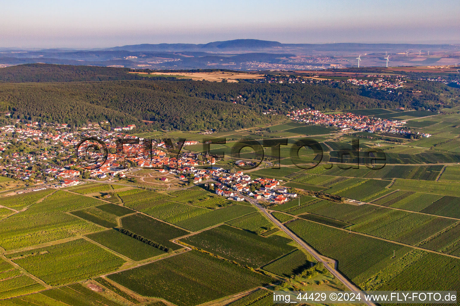 Aerial photograpy of Village - view on the edge of wine yards in Weisenheim am Berg in the state Rhineland-Palatinate, Germany