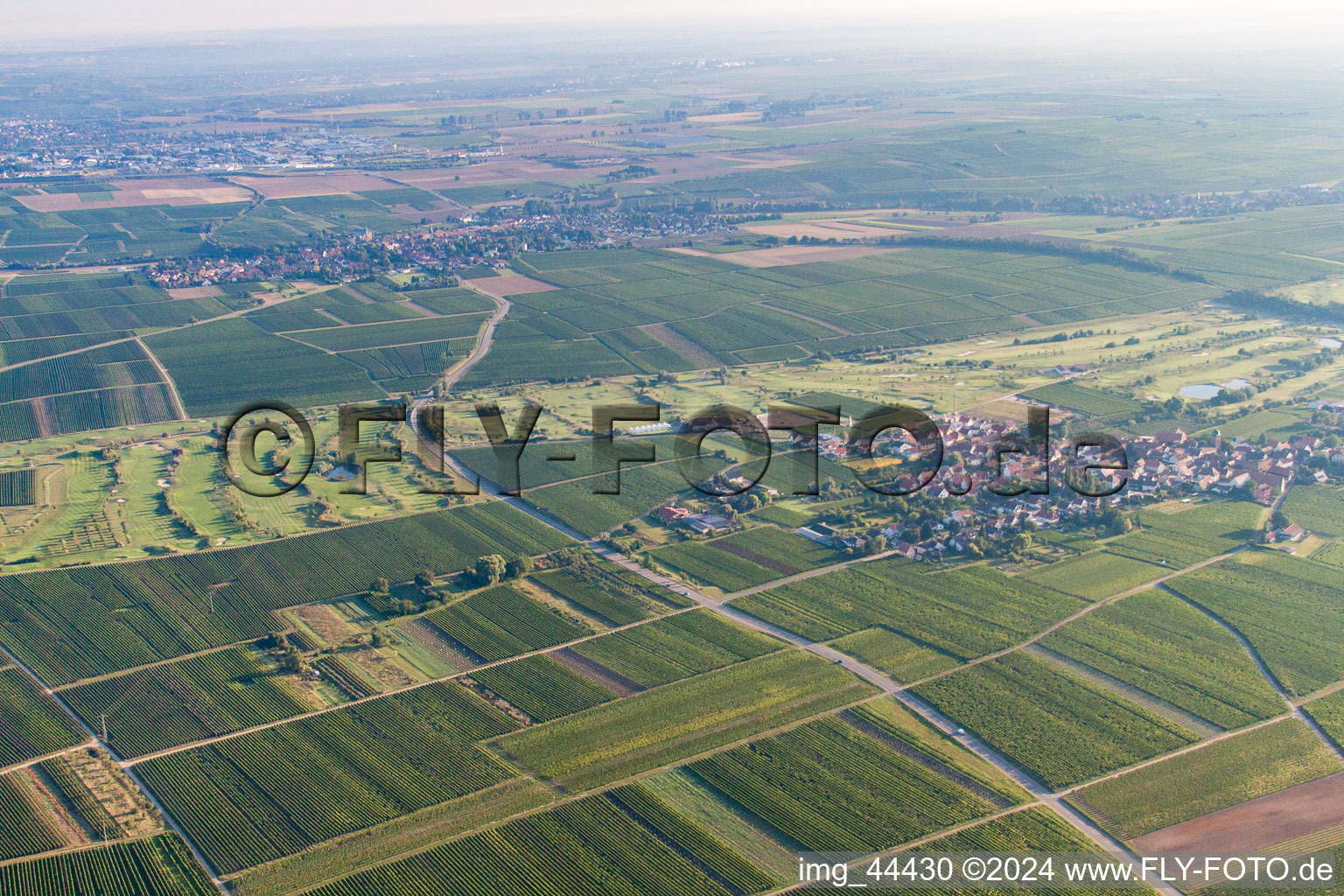 Aerial view of Golf Club German Wine Route in Dackenheim in the state Rhineland-Palatinate, Germany