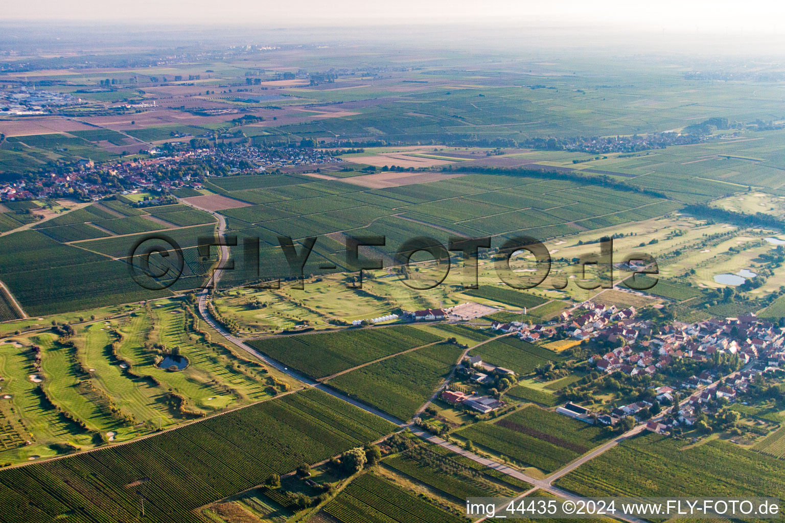 Oblique view of German Wine Route Golf Club in Dackenheim in the state Rhineland-Palatinate, Germany