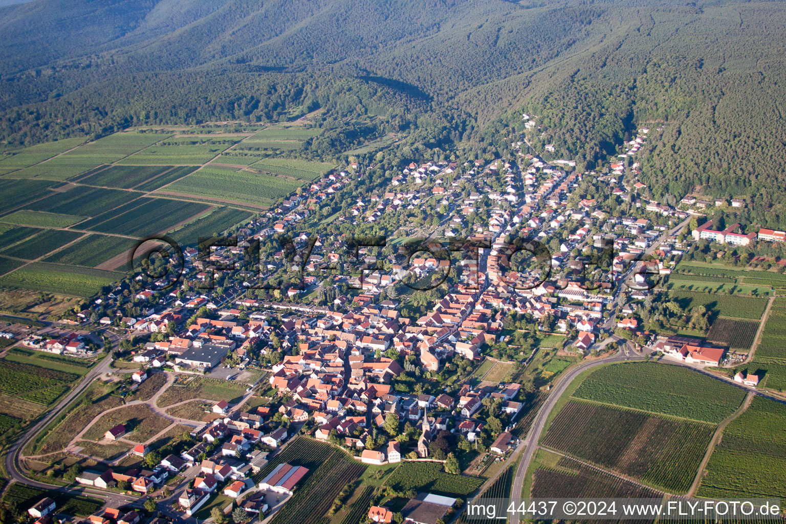 Oblique view of Village view of Am Muenchberg in Bobenheim am Berg in the state Rhineland-Palatinate