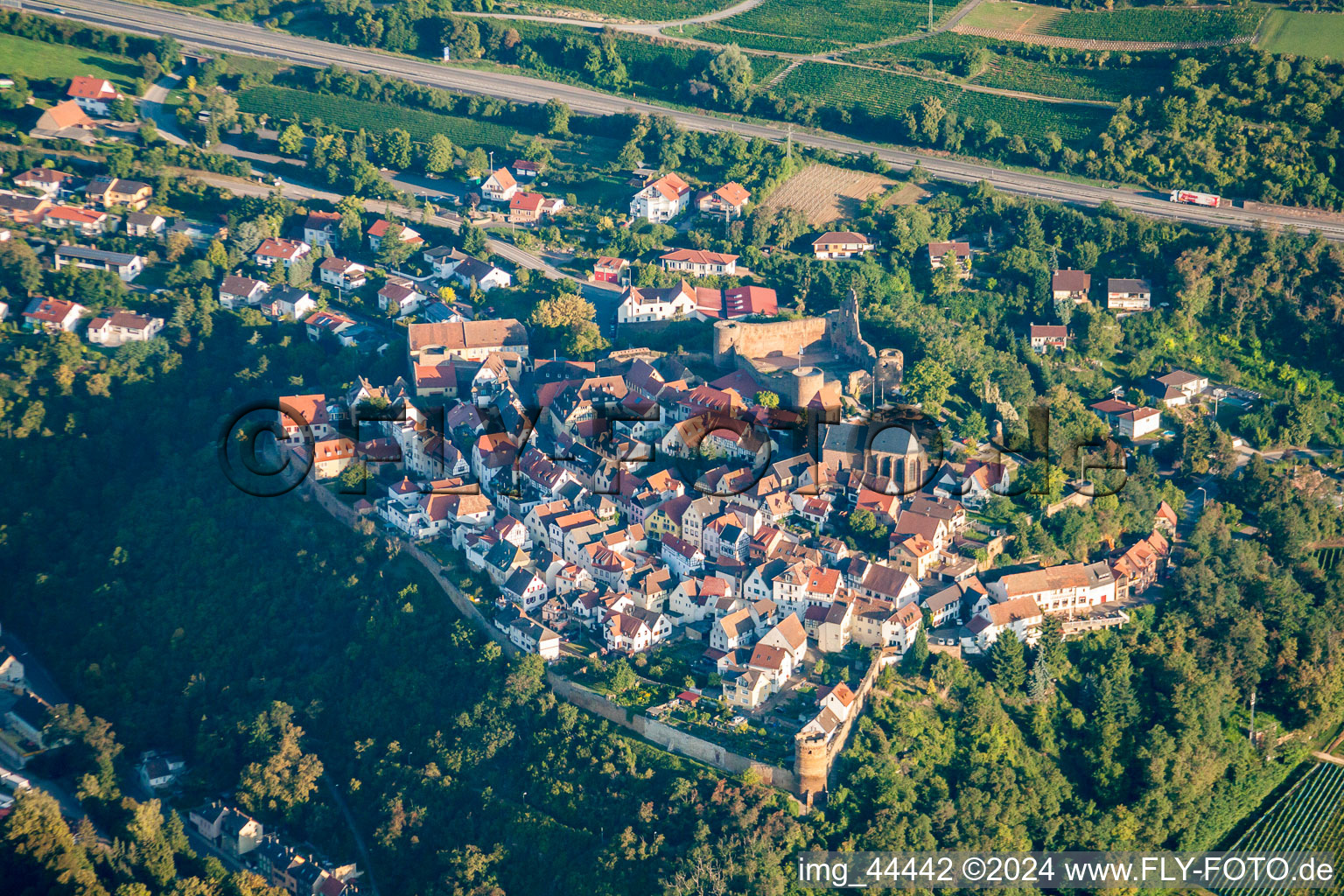 Neuleiningen in the state Rhineland-Palatinate, Germany seen from above