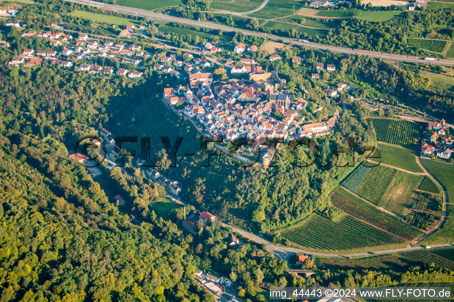 Neuleiningen in the state Rhineland-Palatinate, Germany from the plane