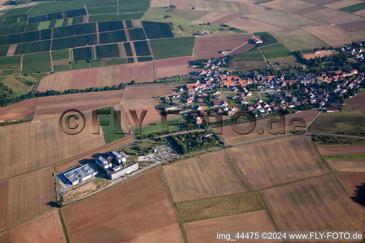 Wendelsheim in the state Rhineland-Palatinate, Germany