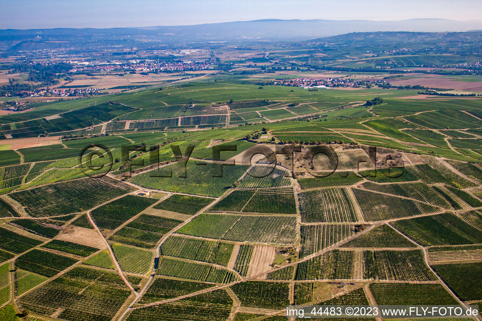 Johanneshof/Korell winery on Bosenberg in Pfaffen-Schwabenheim in the state Rhineland-Palatinate, Germany