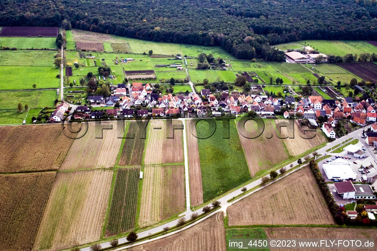 Gänsried in Freckenfeld in the state Rhineland-Palatinate, Germany out of the air