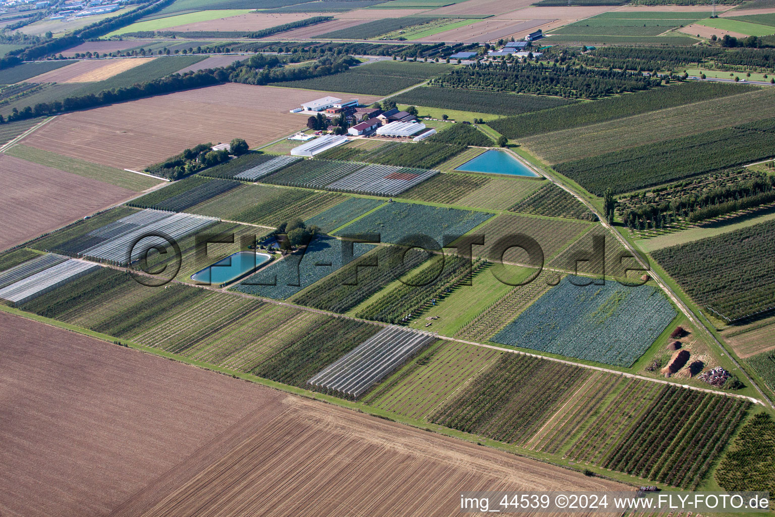 Klein Altendorf in the state North Rhine-Westphalia, Germany