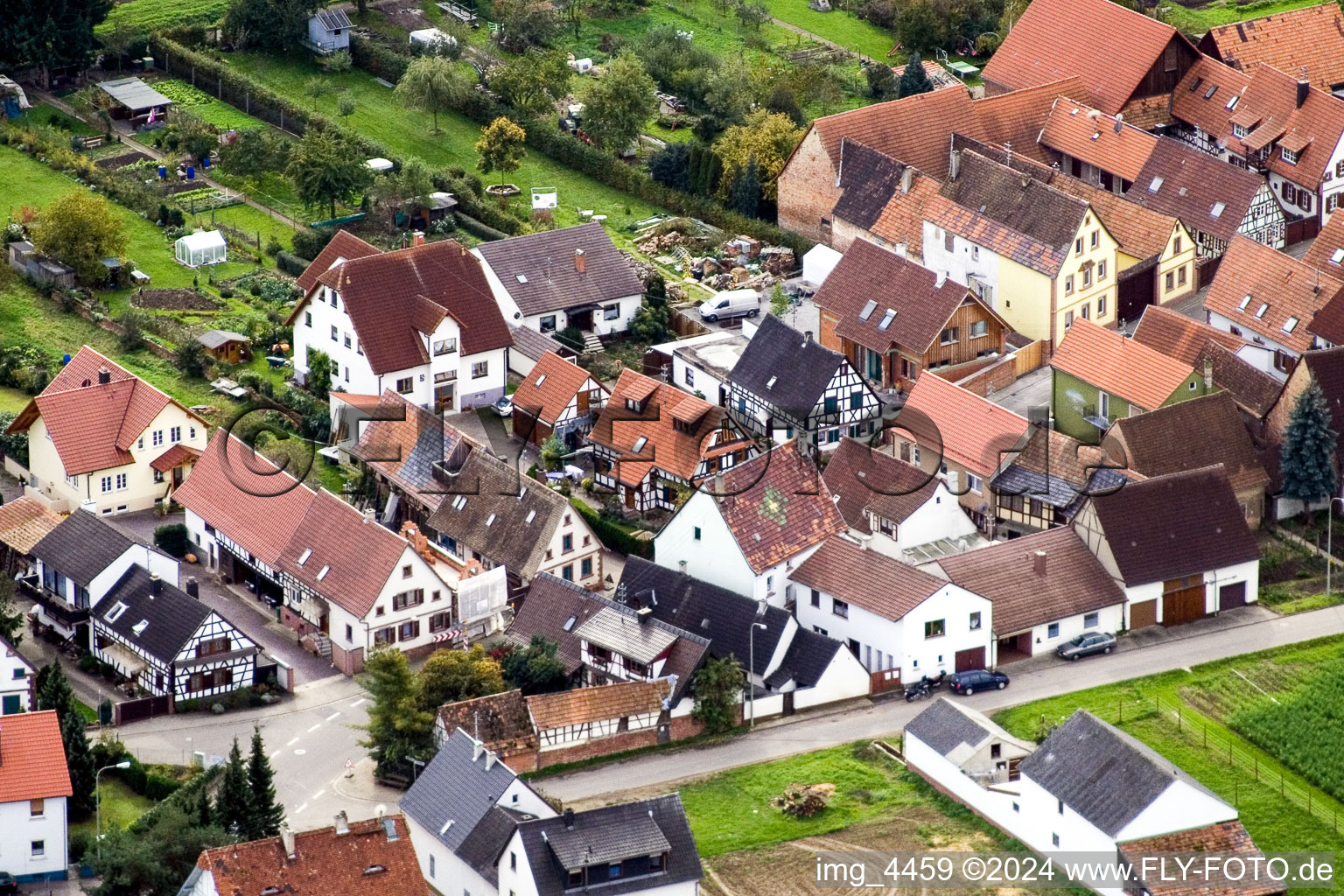 Gaensried in Freckenfeld in the state Rhineland-Palatinate, Germany from a drone